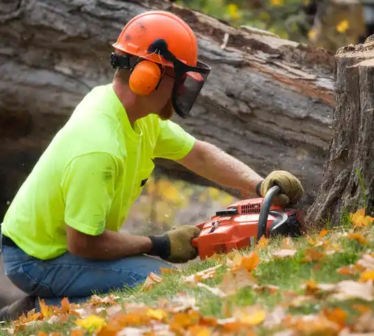 tree services JAARS